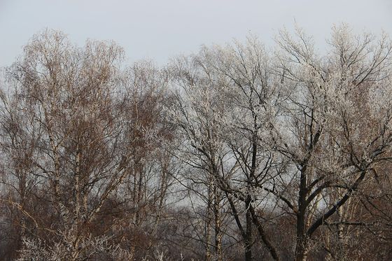 Поздравляем депутата Госсовета Чувашии, главного врача Чебоксарской ЦРБ  Владимира Викторова с почетной наградой!